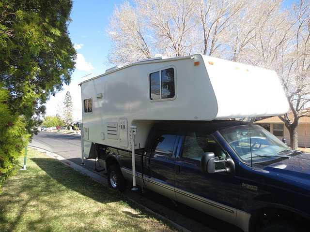 11 Northwood Arctic Fox