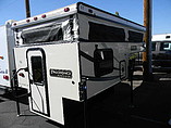 15 Palomino