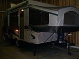 13 Palomino