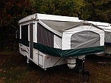 10 Palomino