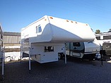 04 Palomino