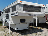 13 Palomino