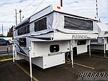 13 Palomino Bronco