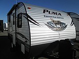 15 Palomino Canyon Cat