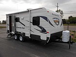 14 Palomino Canyon Cat