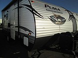 15 Palomino Canyon Cat
