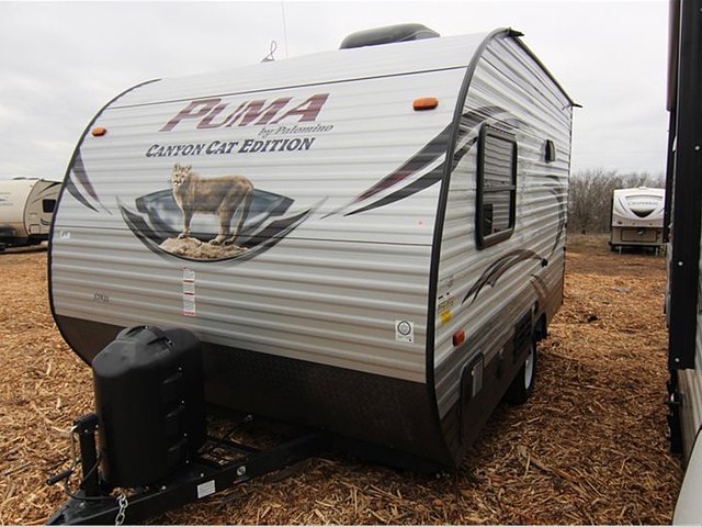 2015 Palomino Canyon Cat Photo