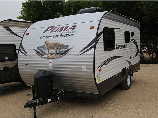 2016 Palomino Canyon Cat Photo