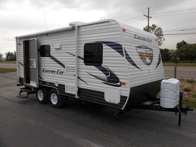 2014 Palomino Canyon Cat Photo