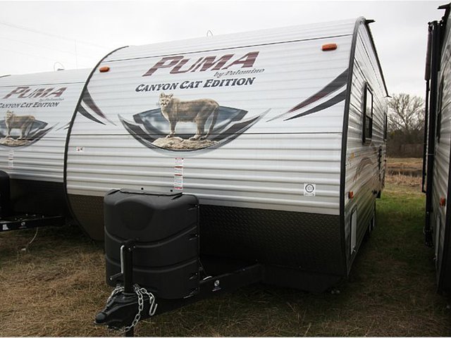 15 Palomino Canyon Cat