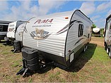 15 Palomino Canyon Cat