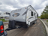15 Palomino Canyon Cat
