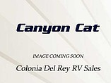 15 Palomino Canyon Cat