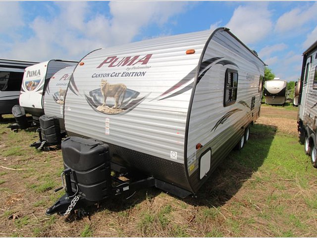 2015 Palomino Canyon Cat Photo