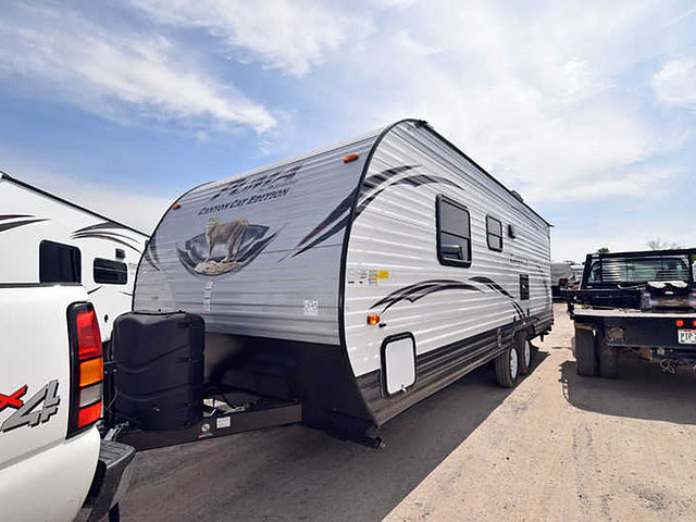 15 Palomino Canyon Cat
