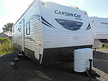 15 Palomino Canyon Cat
