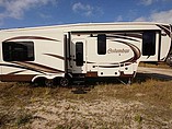 14 Palomino Columbus