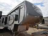 15 Palomino Columbus