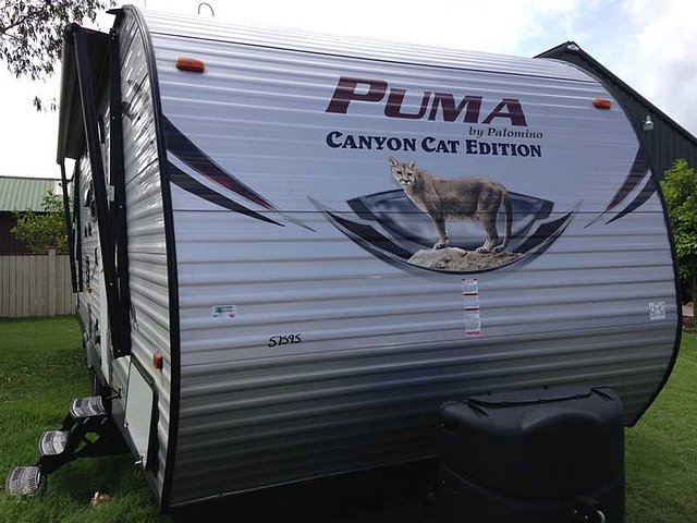 2016 Palomino Canyon Cat Photo