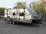 15 Forest River Surveyor