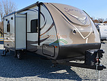 15 Forest River Surveyor