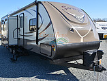 15 Forest River Surveyor