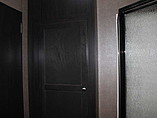 2015 Jayco Octane Photo #22