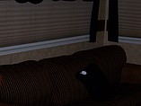 2011 Jayco Pinnacle Photo #8