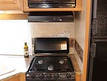 2010 Keystone Springdale Photo #12