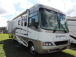 05 Forest River Georgetown XL