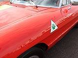 1976 Alfa Romeo Alfa Romeo Photo #18