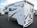 09 Arctic Fox