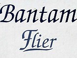 2006 Bantam Flier Bantam Flier Photo #6