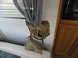 1999 Coachmen Catalina Photo #21