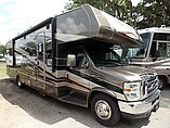 11 Coachmen Leprechaun