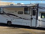 13 Coachmen Leprechaun