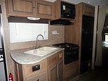 2015 Cruiser RV Radiance Photo #11