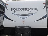 15 Dutchmen Razorback