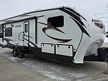 15 Evergreen Amped