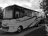2008 Fleetwood Bounder Photo #9
