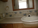2003 Fleetwood Bounder Photo #2