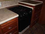 2008 Fleetwood Bounder Photo #7