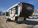 16 Palomino Columbus
