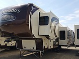 16 Palomino Columbus