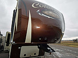 14 Palomino Columbus