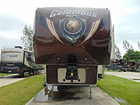 15 Palomino Columbus
