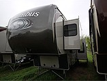 15 Palomino Columbus