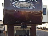 15 Palomino Columbus