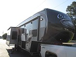 16 Palomino Columbus