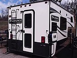 16 Palomino
